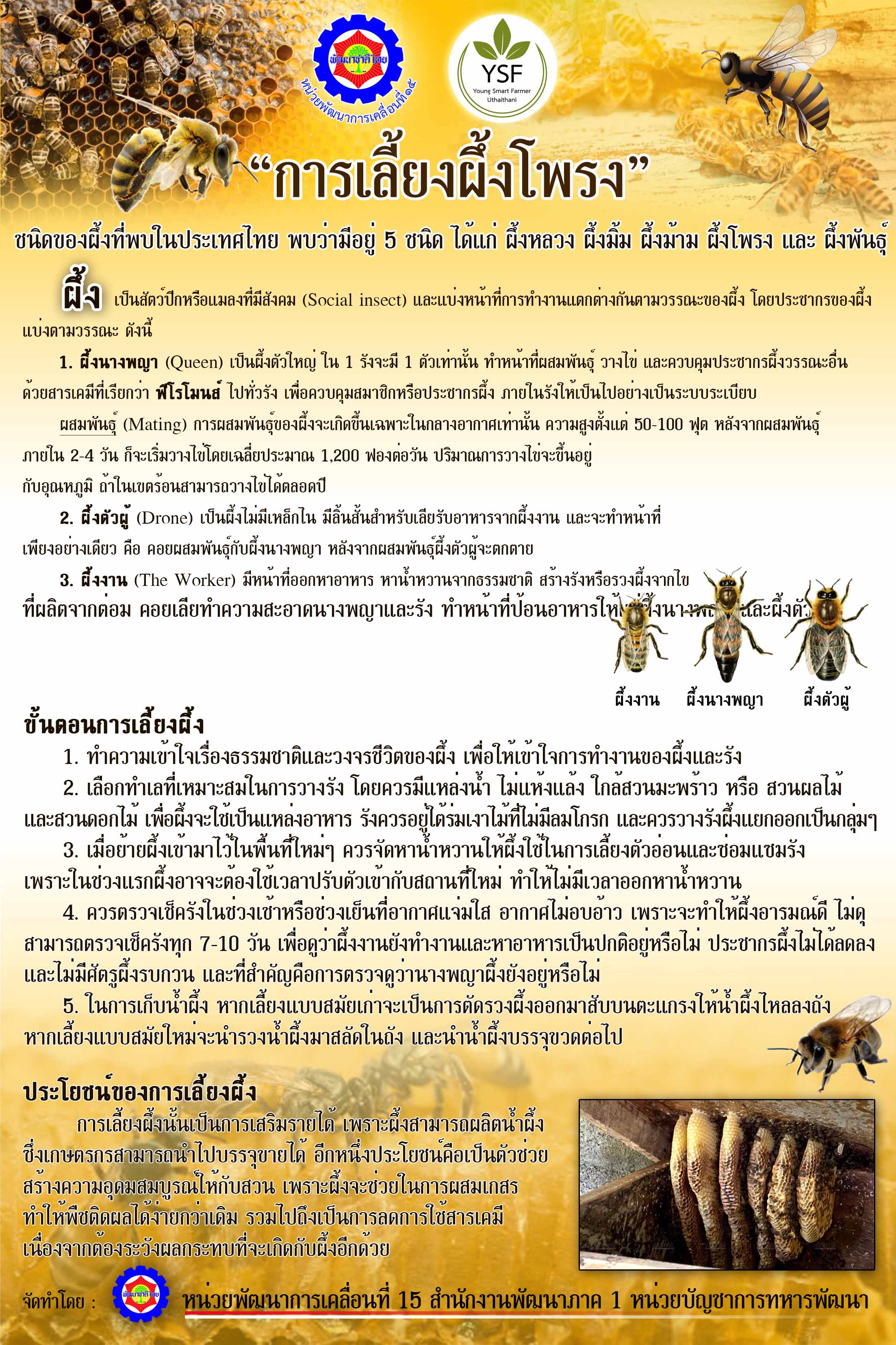 1 ผึ้ง