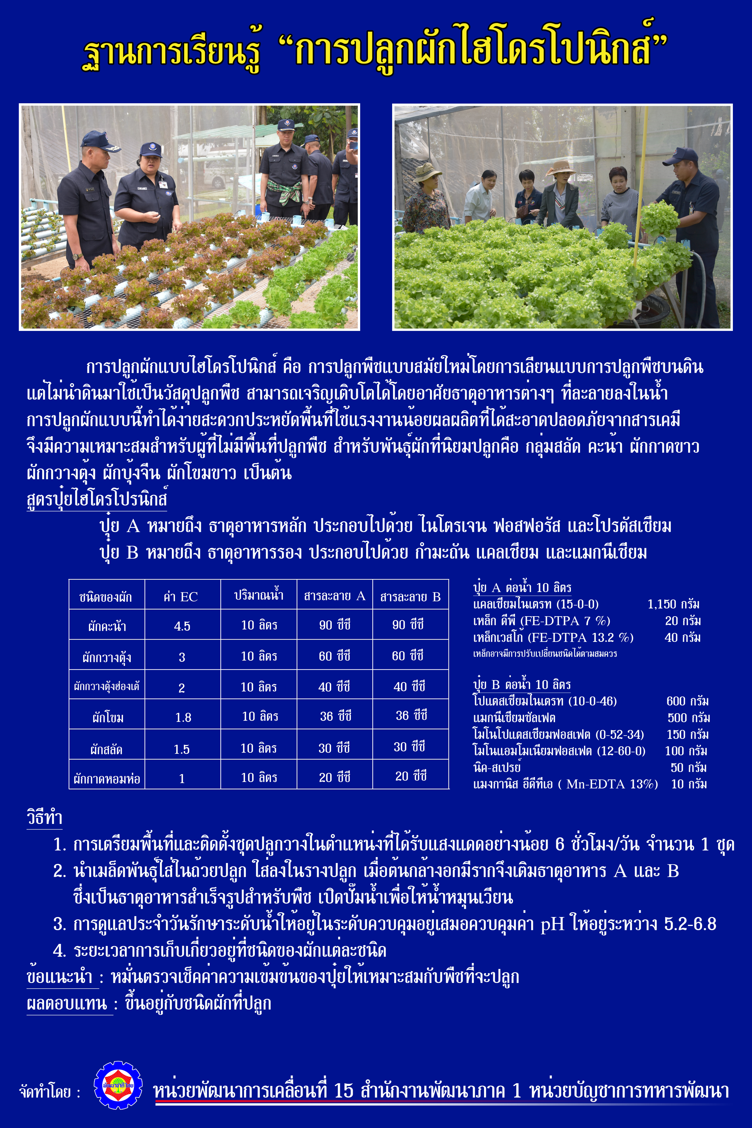 12. การปลูกผักไฮโดรโปนิกส์