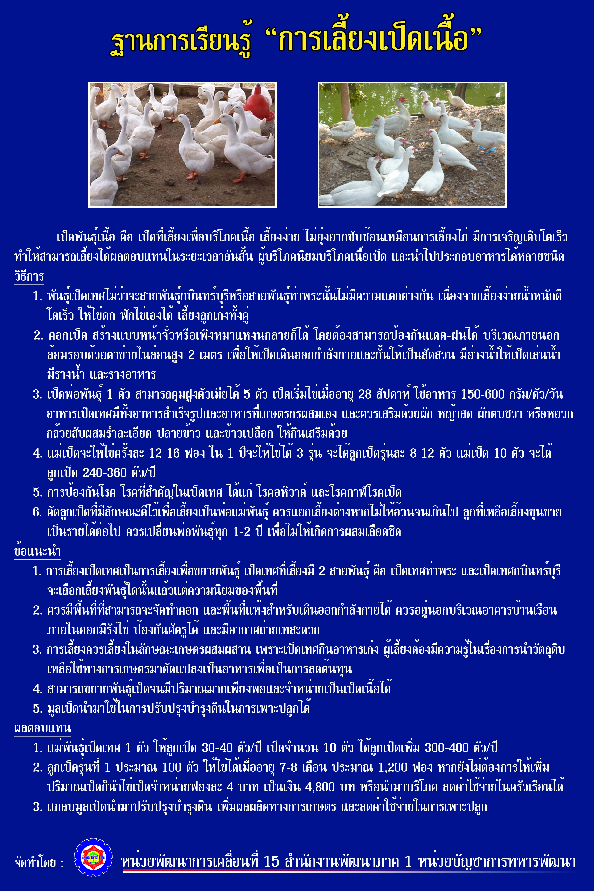 14. การเลี้ยงเป็ดเนื้อ
