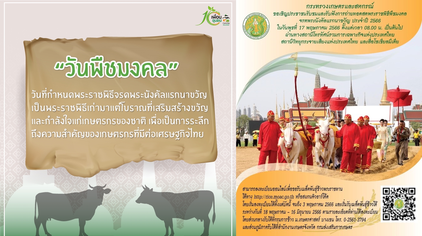 พืช1