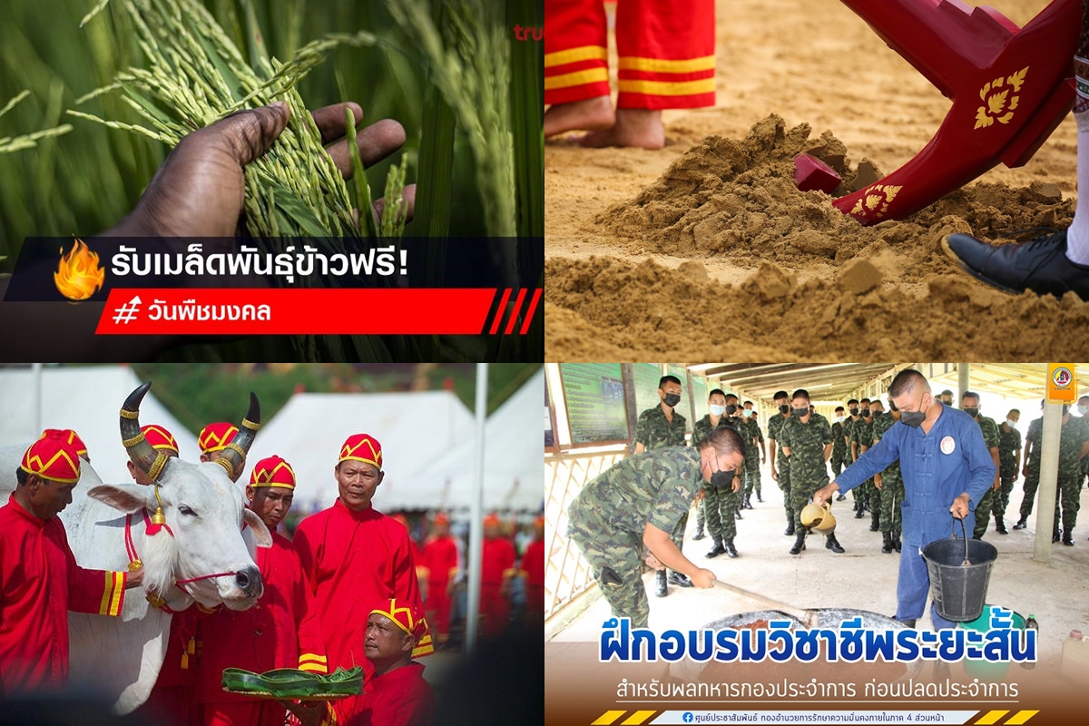 พืช2