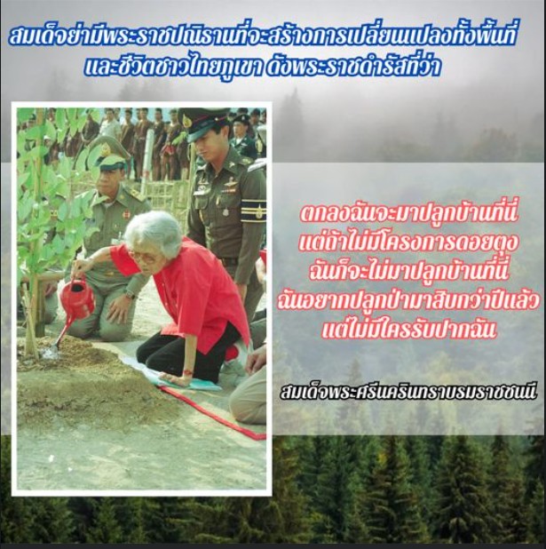 messageImage 1697592392811 0 0